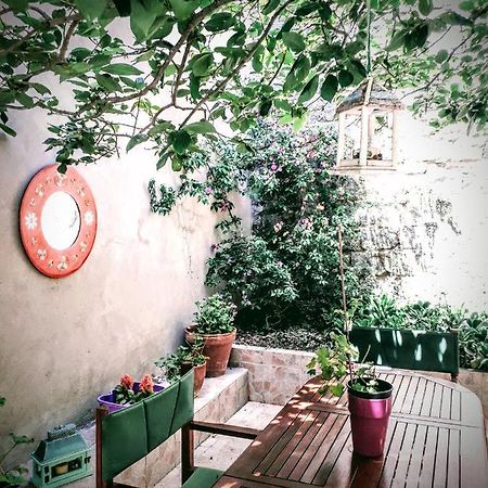 Bed and Breakfast La Collina Dei Ciliegi Sarule Экстерьер фото