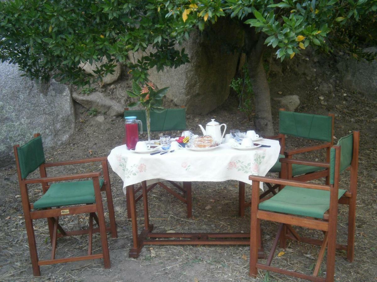 Bed and Breakfast La Collina Dei Ciliegi Sarule Экстерьер фото